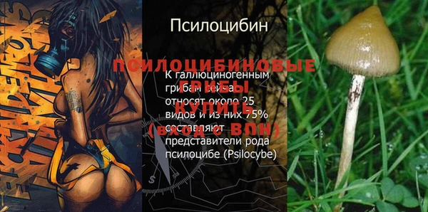 соль курить ск Пестово