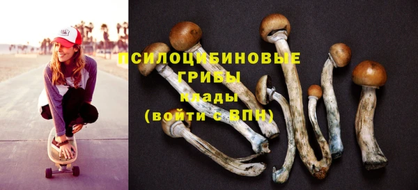 первитин Осинники