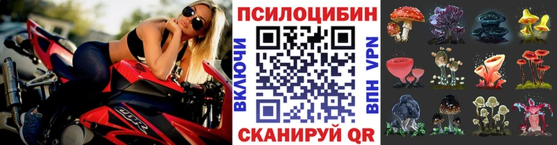 Псилоцибиновые грибы Magic Shrooms  где купить   Йошкар-Ола 