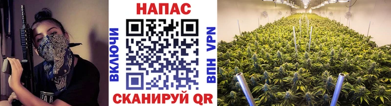 Бошки Шишки AK-47  даркнет сайт  ОМГ ОМГ маркетплейс  Йошкар-Ола 